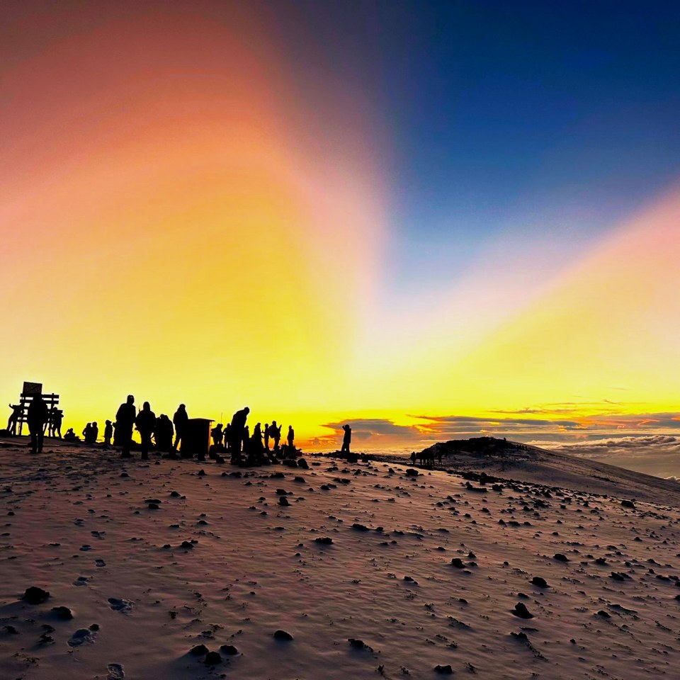 Kilimanjaro & Palmenstrand zu Silvester
